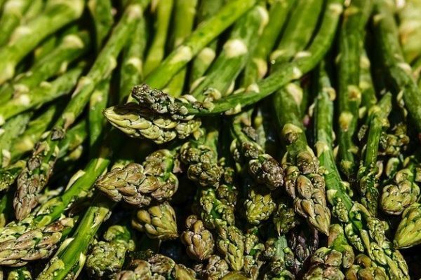 Can dog eat Asparagus? Is Asparagus safe for dogs?