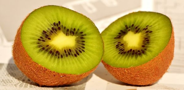 Can dogs eat kiwi fruit? Is Kiwi good for Dogs? - Your Dogs World