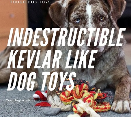 Indestructible kevlar like toys