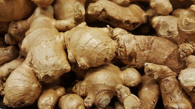 Can dogs eat cooked ginger root